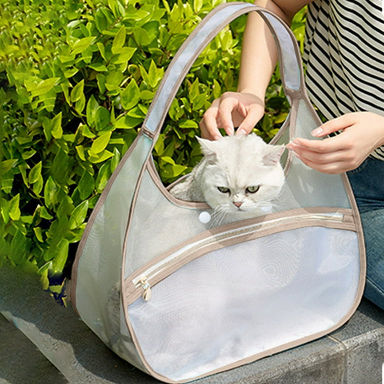 Cat Backpack Bubble Window