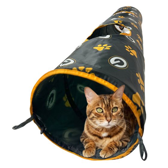 Cat Toy Laser Pointer Pen