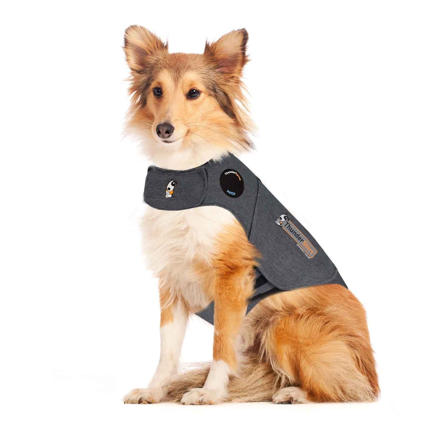 Dog Raincoat Waterproof Jacket
