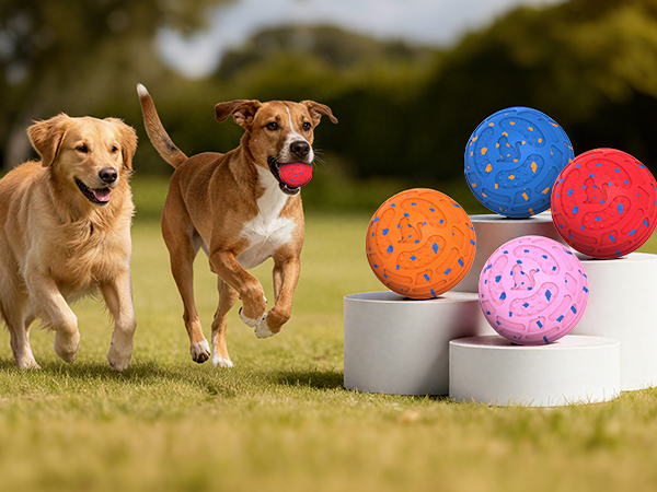 Dog Snuffle Ball Foraging