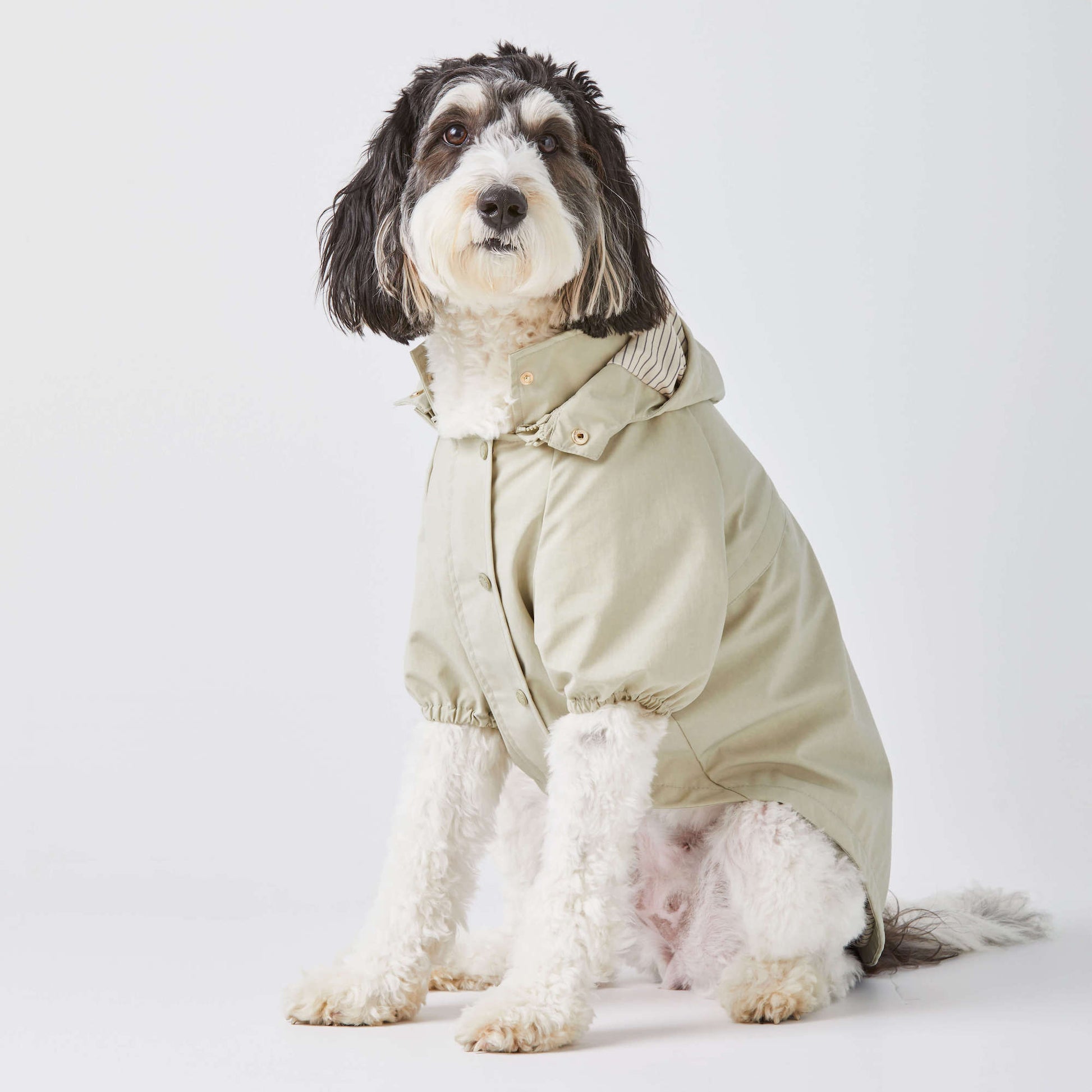Dog Raincoat Poncho