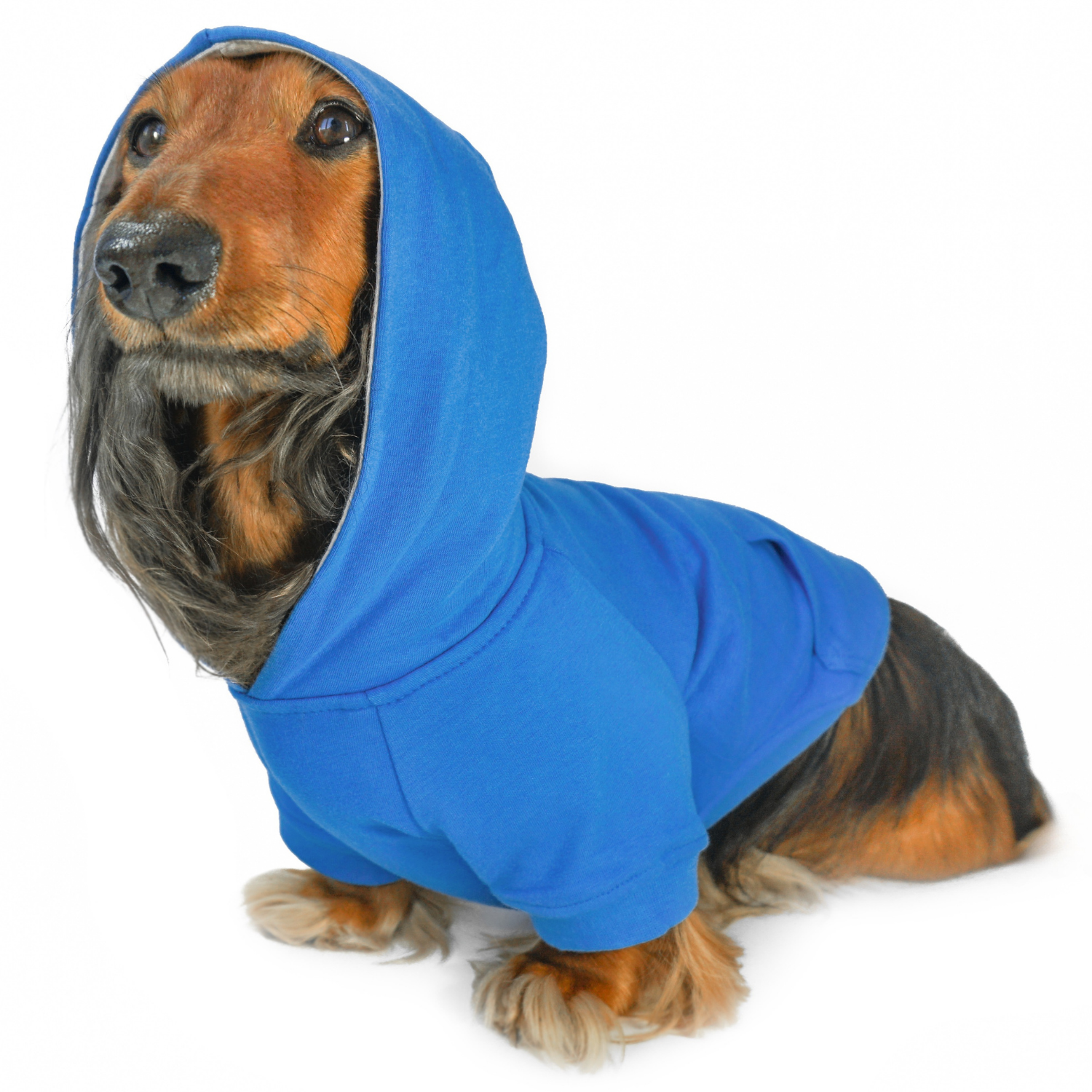Dog Winter Coat Warm