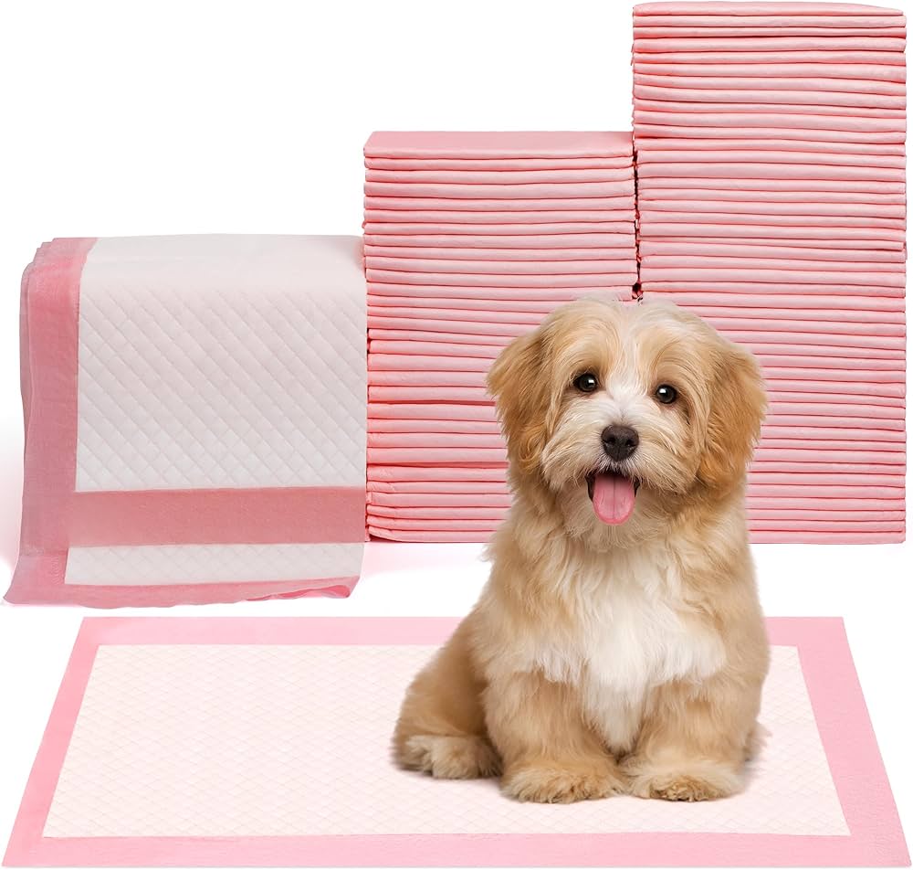 Dog Training Clicker Set